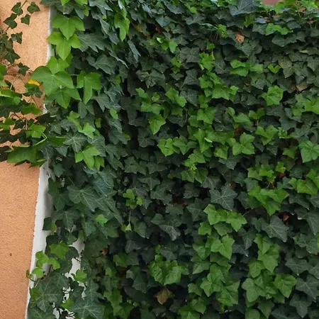 Coloursfun Appartement *